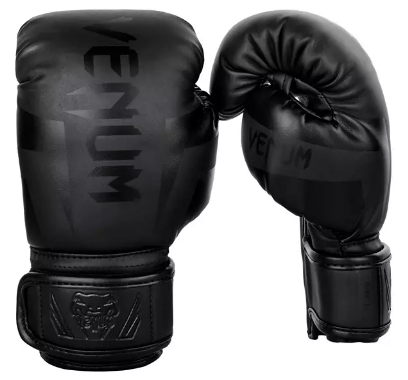 Venum Boxing Gloves